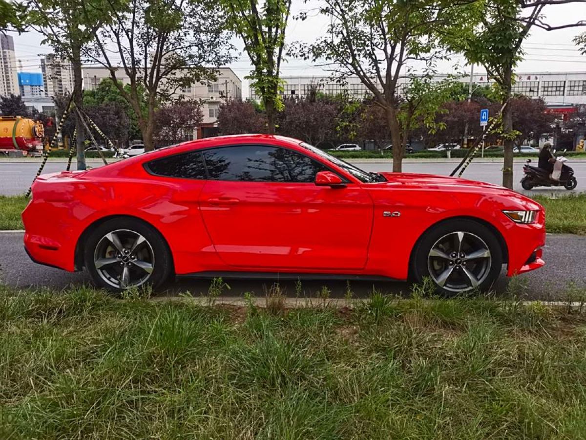 福特 Mustang  2015款 2.3T 50周年纪念版图片