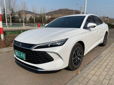 2024年11月 比亞迪 秦L DM-i 80KM超越型圖片