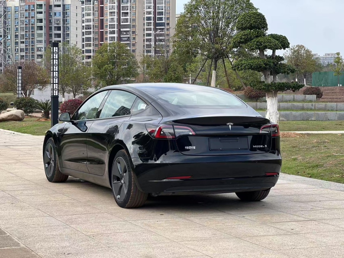 特斯拉 Model 3  2021款 改款 標準續(xù)航后驅(qū)升級版圖片