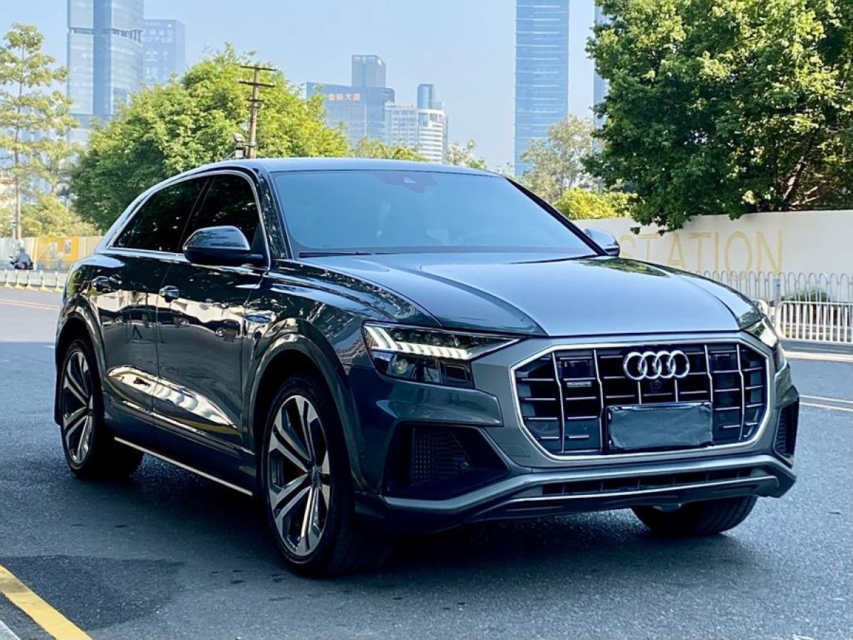 奧迪 奧迪Q8  2019款 55 TFSI 至尊限量版圖片