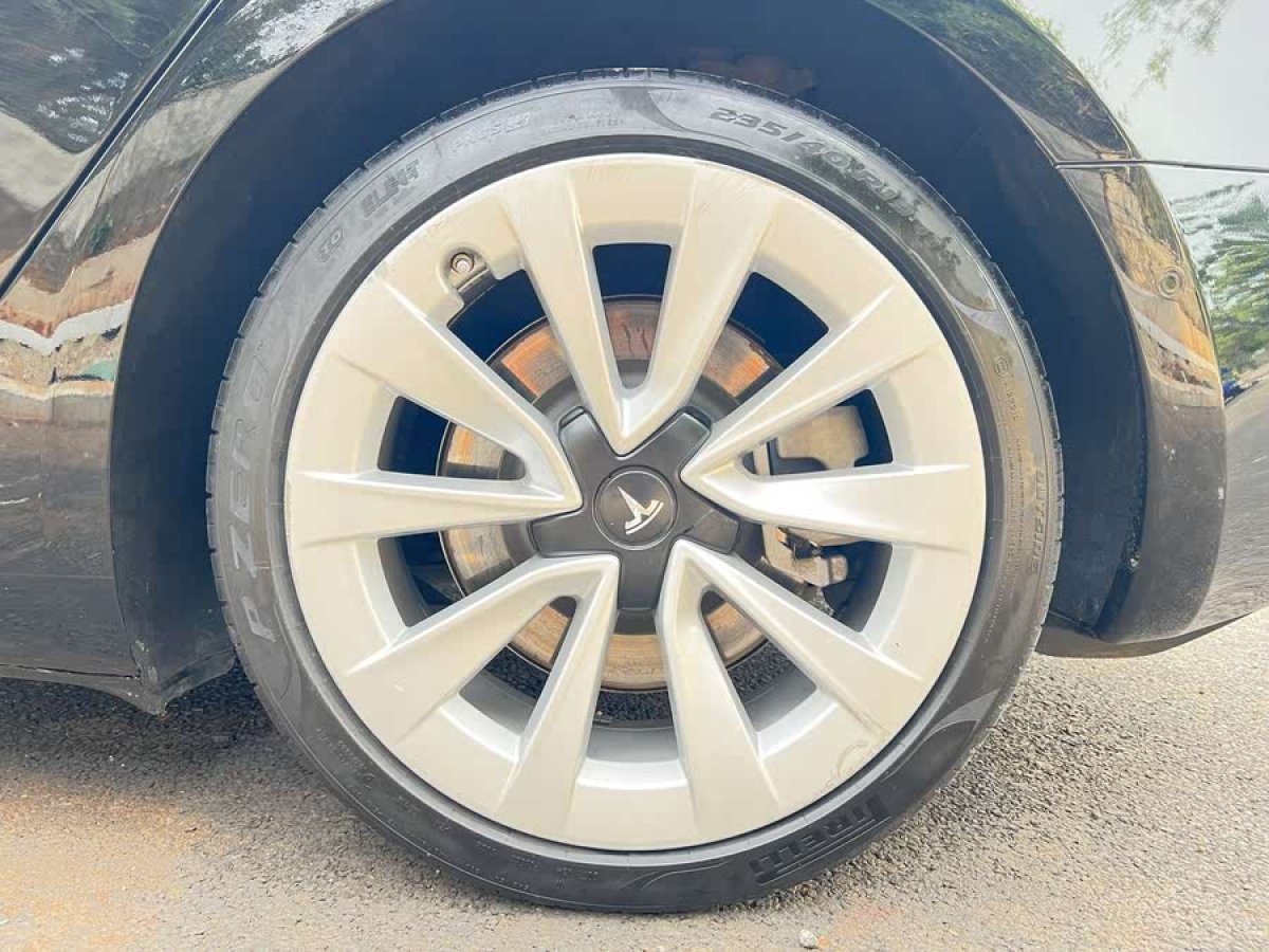 特斯拉 Model 3  2021款 標(biāo)準(zhǔn)續(xù)航后驅(qū)升級版 3D6圖片