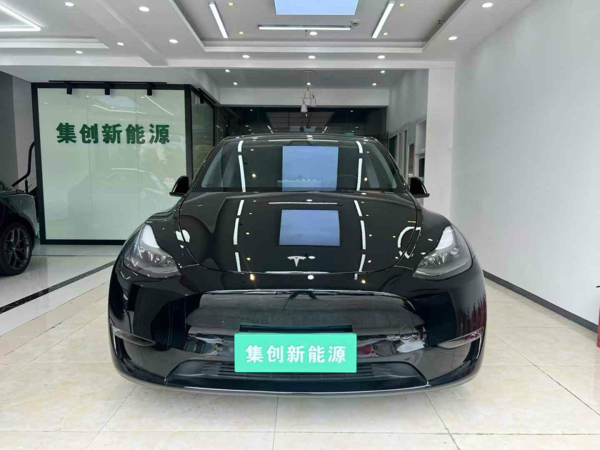 特斯拉 Model Y  2022款 Performance高性能全輪驅(qū)動(dòng)版圖片