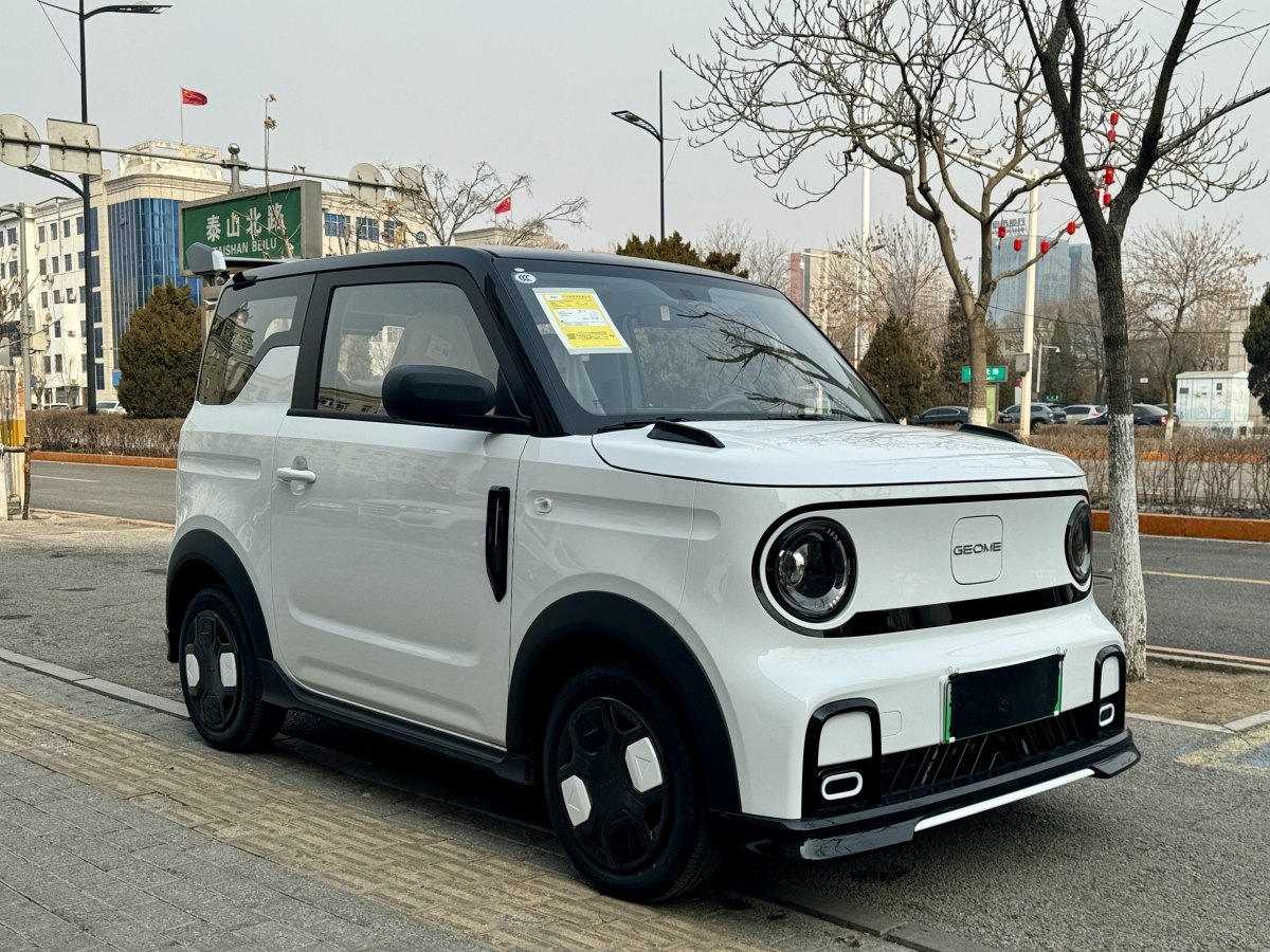 2024年12月吉利 熊貓mini  2025款 210km 熊貓卡丁