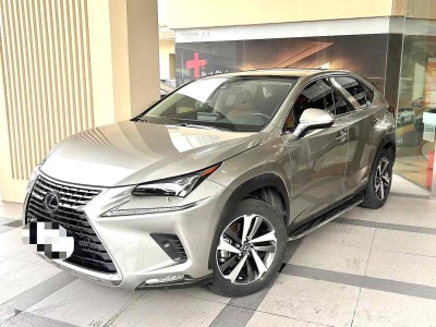 2019年12月 雷克萨斯 NX 300h 全驱 锋致版 国VI图片