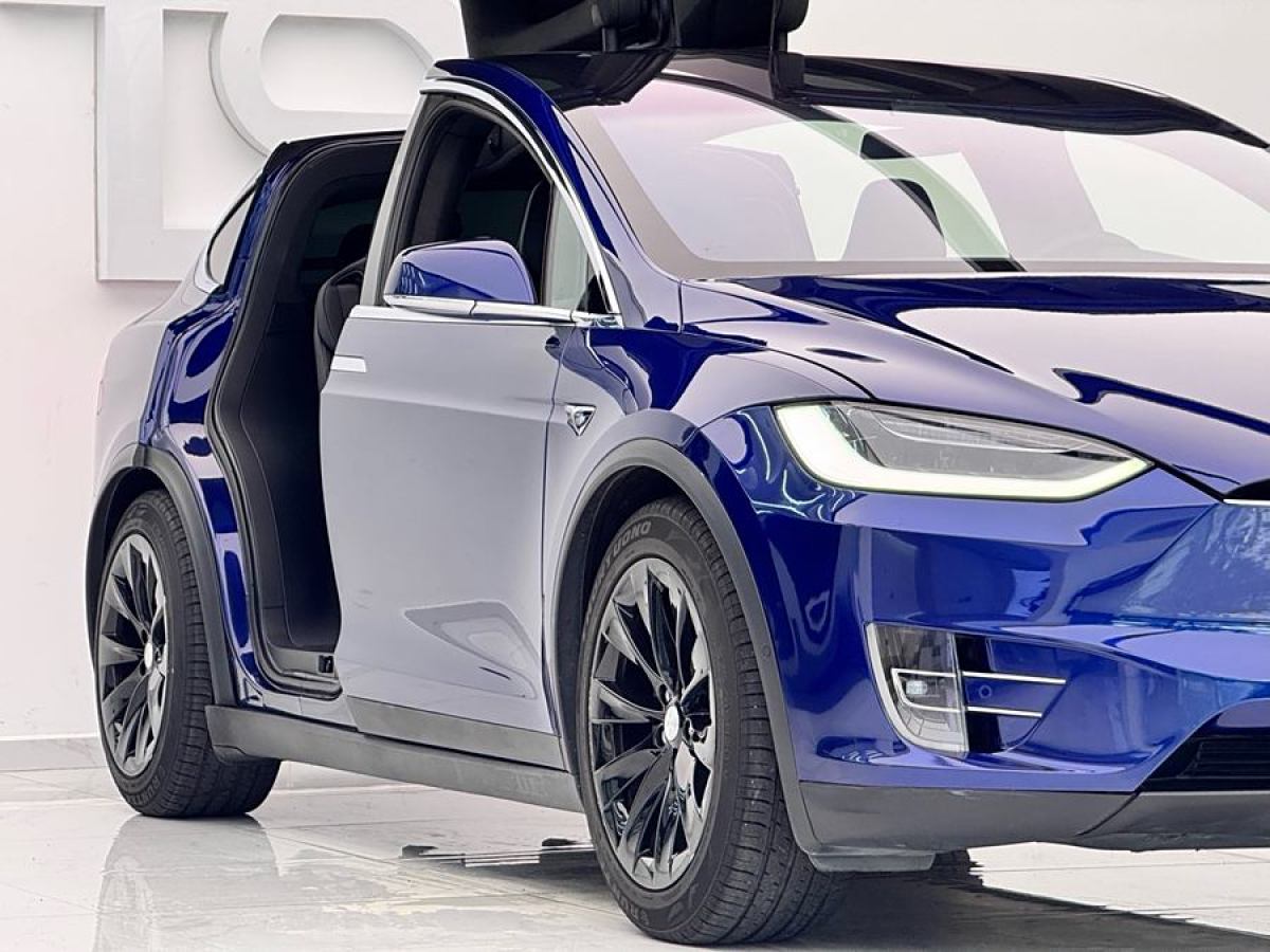 特斯拉 Model X  2019款 長續(xù)航版圖片