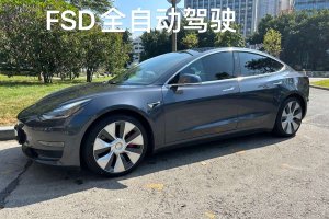 Model 3 特斯拉 Performance高性能全輪驅(qū)動(dòng)版