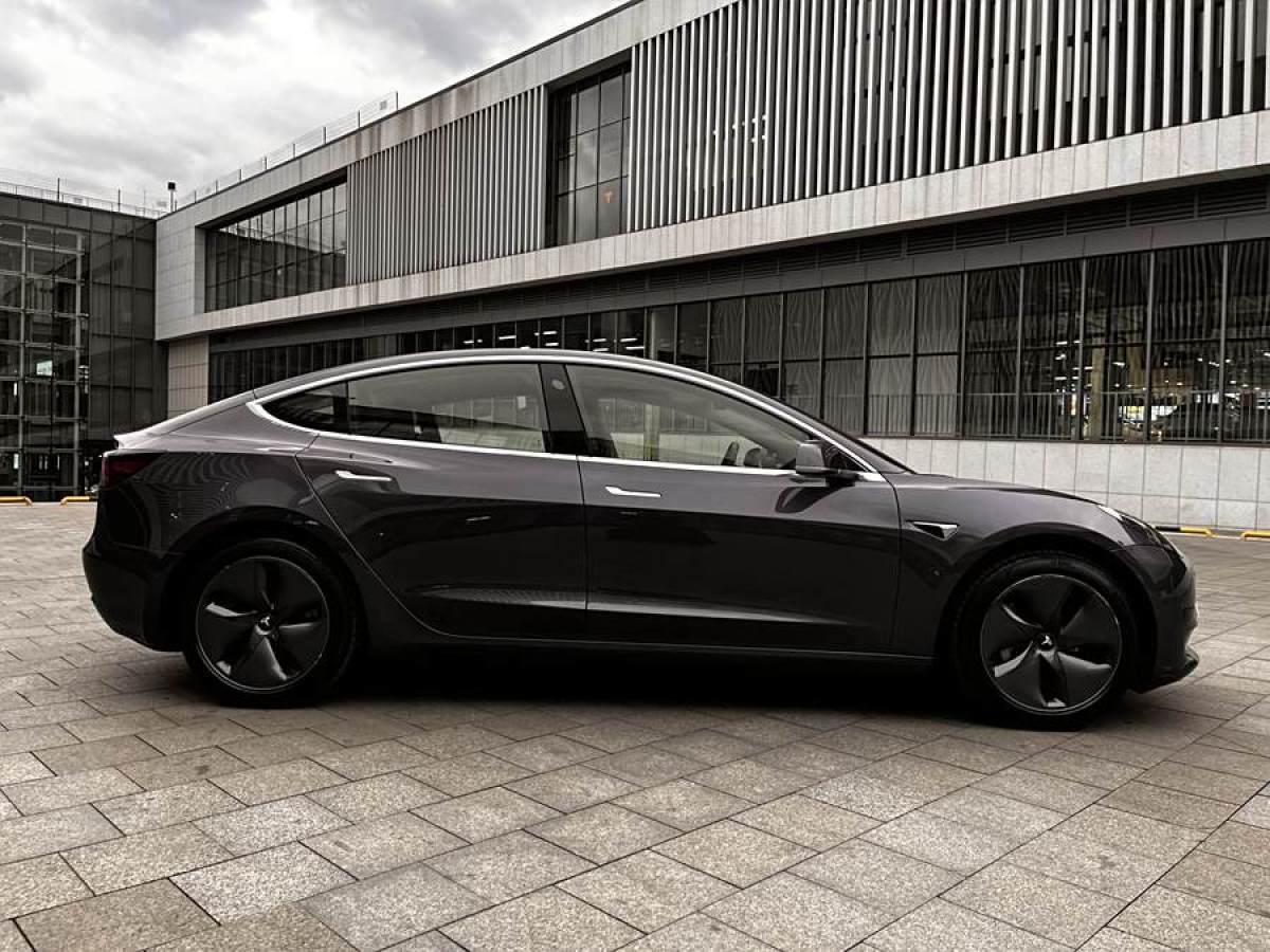 2021年1月特斯拉 Model 3  2020款 改款 標(biāo)準(zhǔn)續(xù)航后驅(qū)升級(jí)版