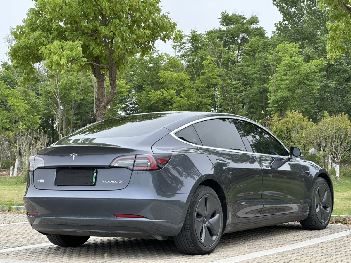 特斯拉 Model 3  2020款 改款 標(biāo)準(zhǔn)續(xù)航后驅(qū)升級版圖片