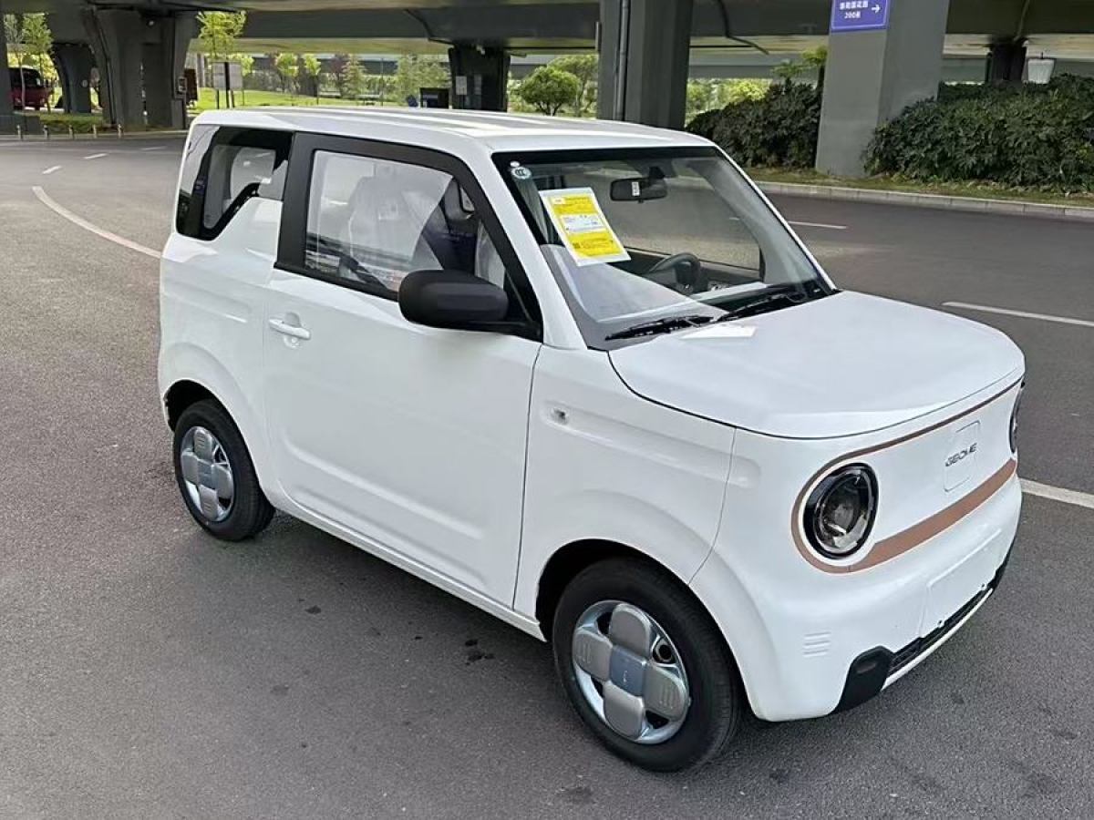 2024年9月吉利 熊貓mini  2023款 200km 耐力熊