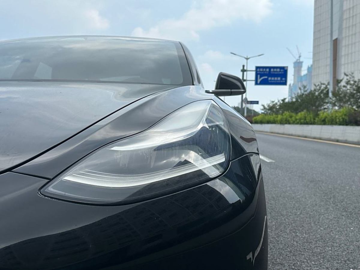 特斯拉 Model 3  2019款 标准续航后驱升级版图片