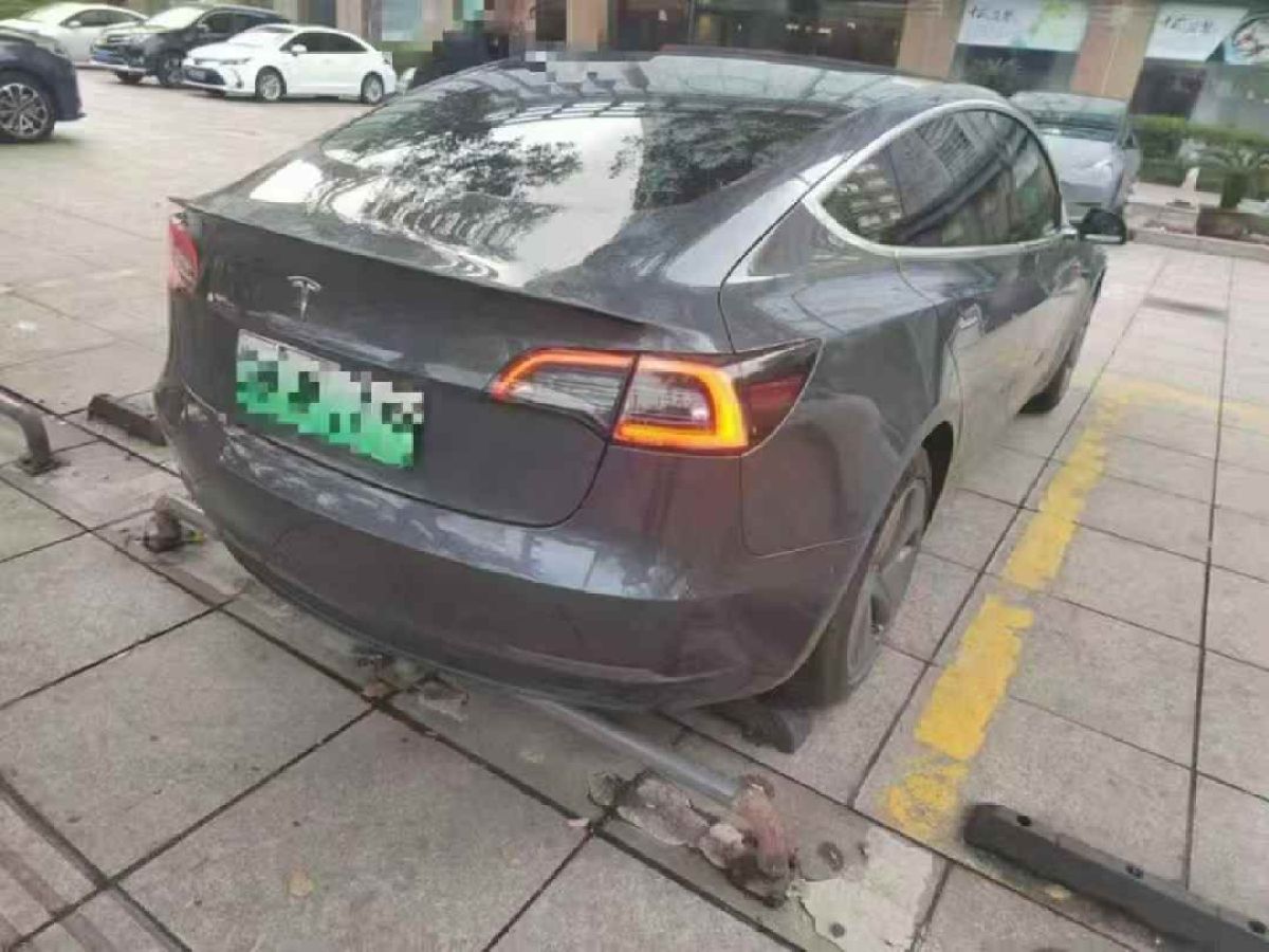 特斯拉 Model 3  2020款 標(biāo)準(zhǔn)續(xù)航后驅(qū)升級版圖片