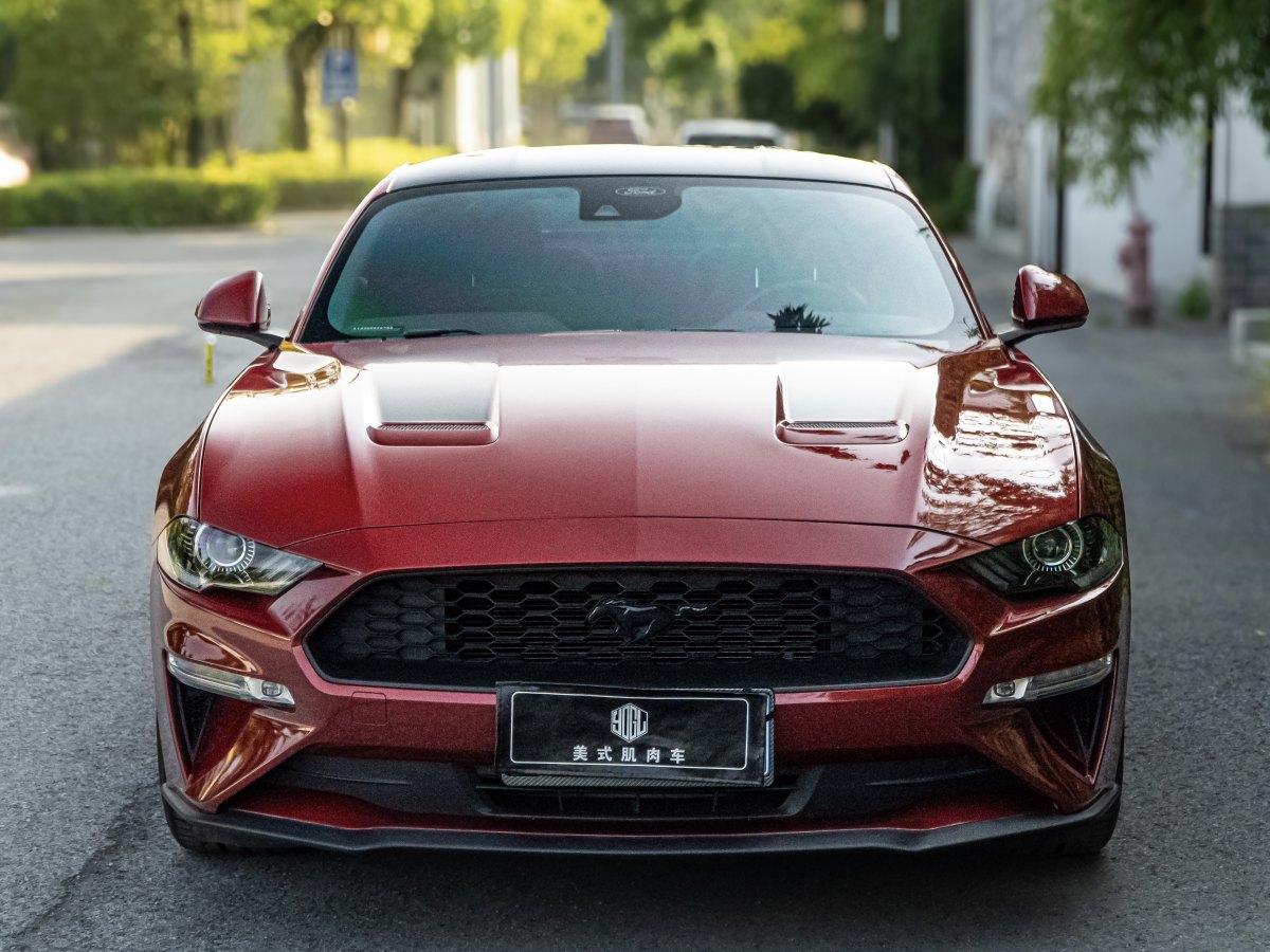 福特 Mustang  2021款 2.3L EcoBoost 黑曜魅影特别版图片