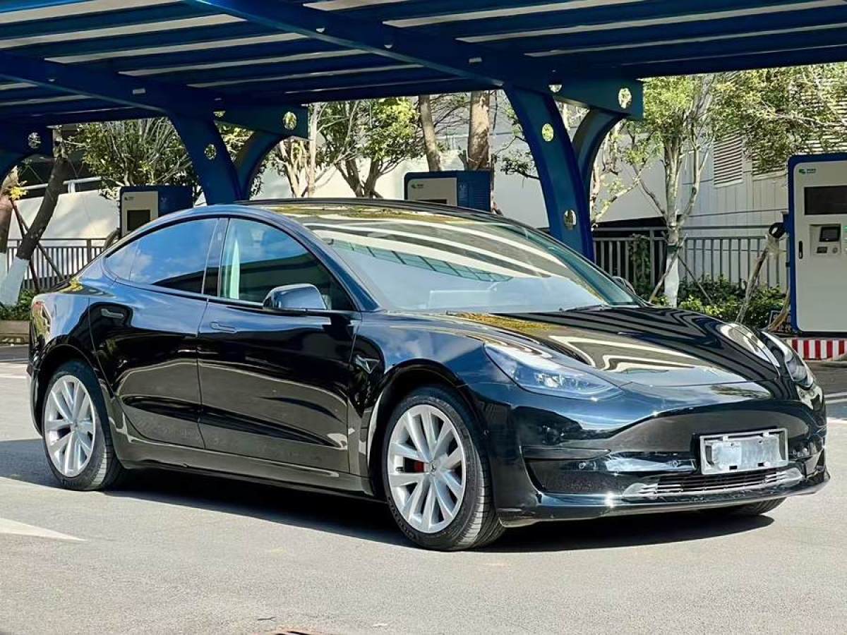 特斯拉 Model 3  2021款 改款 標準續(xù)航后驅(qū)升級版圖片