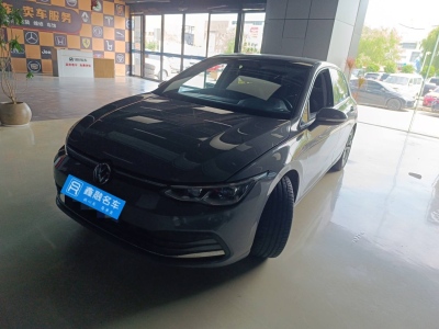 2023年01月 大众 高尔夫 280TSI DSG Pro图片