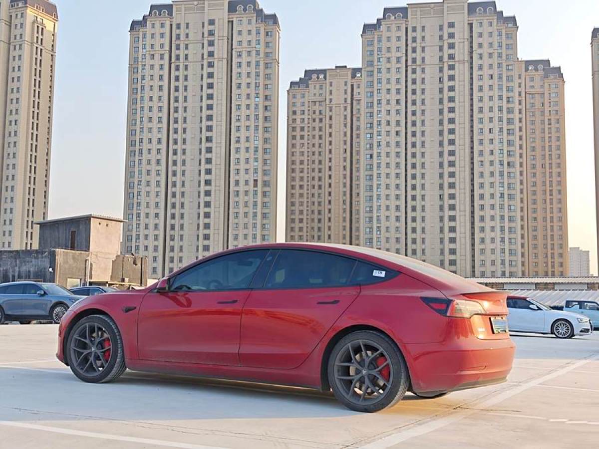 特斯拉 Model Y  2021款 Performance高性能全輪驅(qū)動(dòng)版圖片