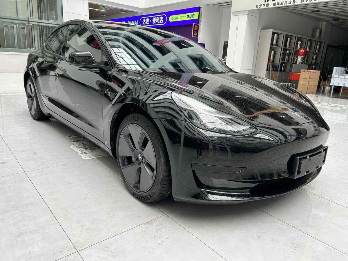 2021年3月特斯拉 Model 3  2019款 標準續(xù)航后驅升級版