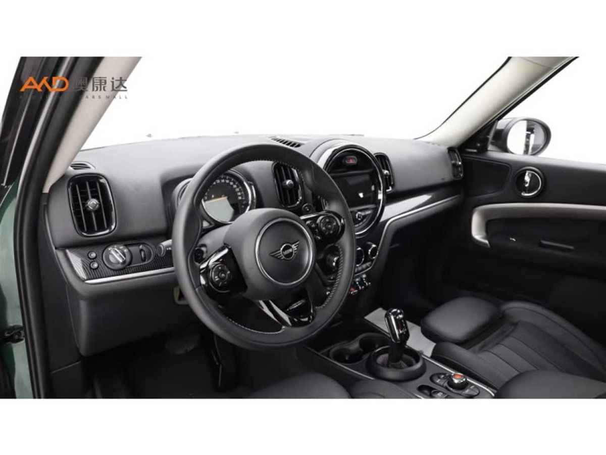 MINI COUNTRYMAN  2019款 2.0T COOPER S ALL4 藝術(shù)家圖片