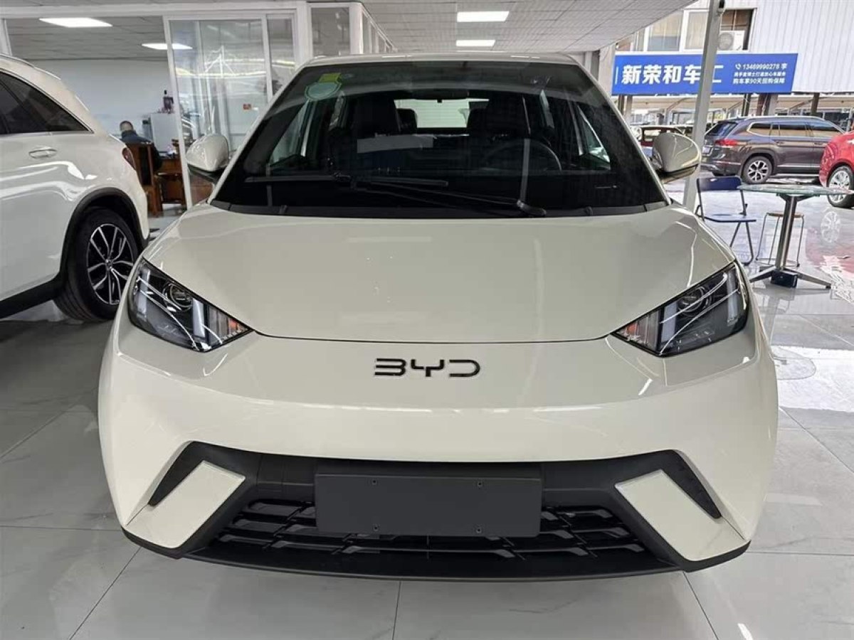 比亞迪 海鷗  2024款 榮耀版 305km 活力版圖片