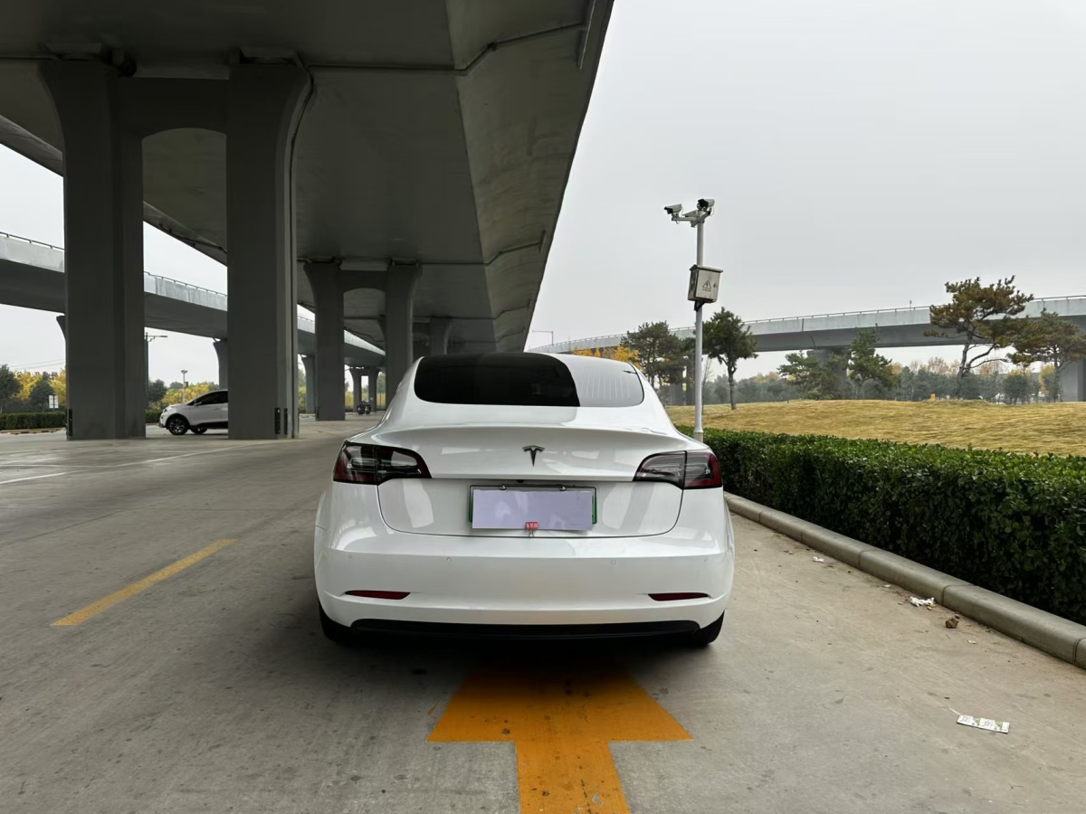 特斯拉 Model 3  2020款 改款 標準續(xù)航后驅升級版圖片