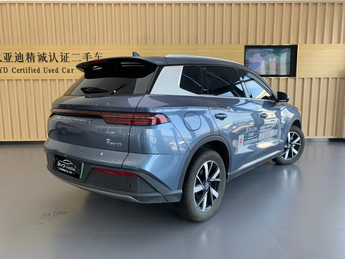 比亚迪 宋Pro新能源  2023款 冠军版 DM-i 110KM超越型图片