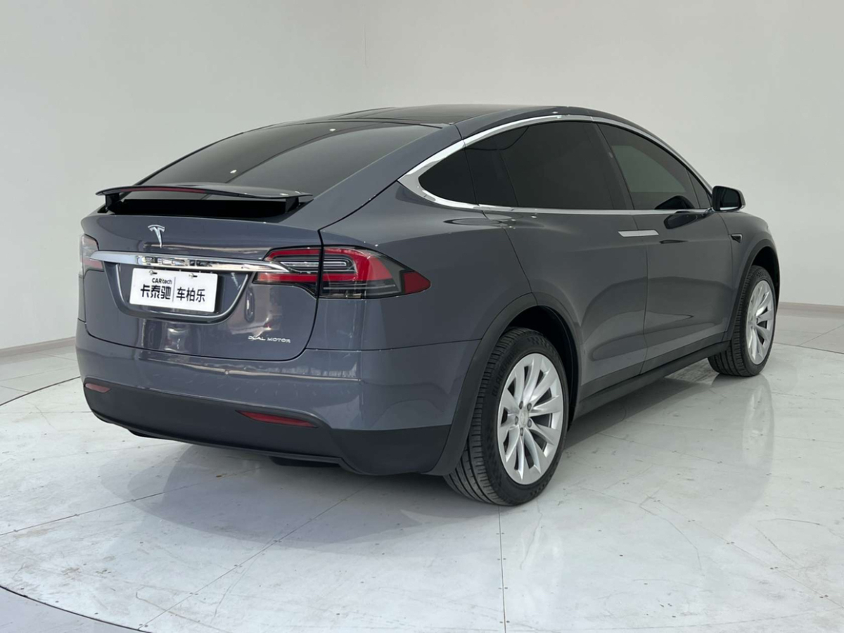 特斯拉 Model X  2020款 长续航升级版图片