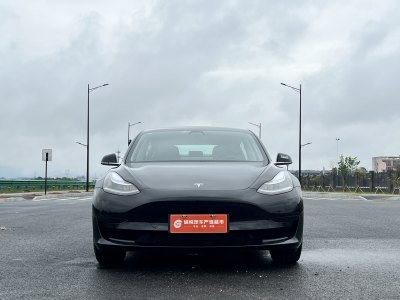 2020年12月 特斯拉 Model 3 改款 標(biāo)準(zhǔn)續(xù)航后驅(qū)升級(jí)版圖片