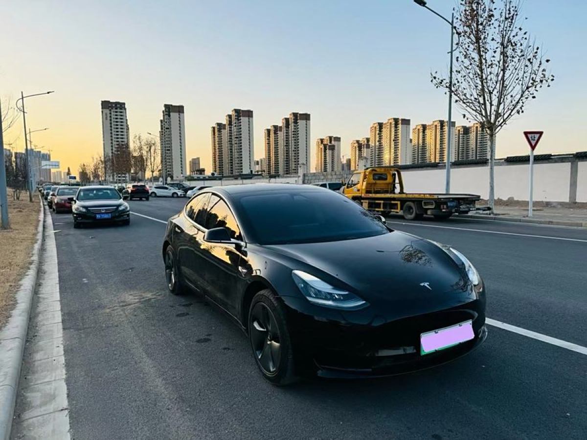 特斯拉 Model 3  2020款 改款 標(biāo)準(zhǔn)續(xù)航后驅(qū)升級版圖片