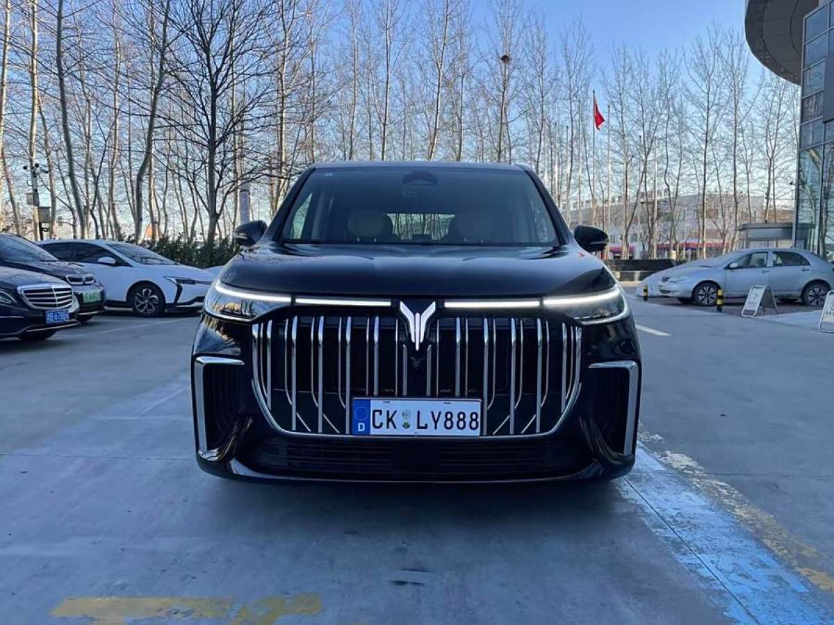 嵐圖 夢想家  2024款 PHEV 超長續(xù)航尊貴版圖片