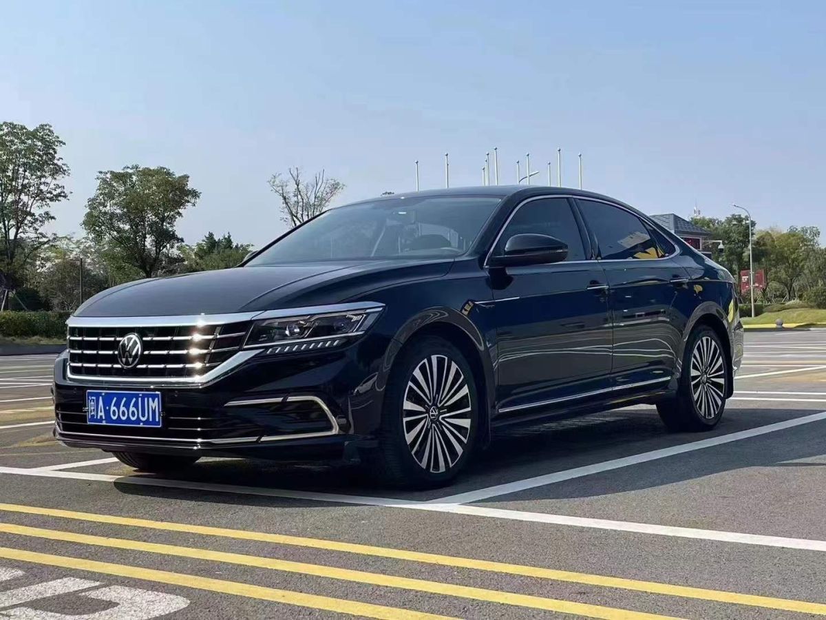 大眾 帕薩特 2021款 330tsi 豪華版圖片