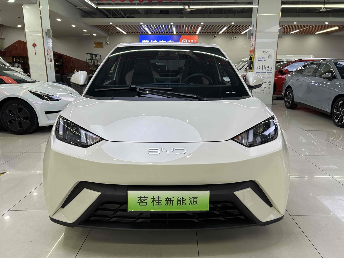 比亞迪 海鷗  2024款 榮耀版 305km 活力版圖片