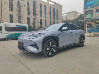 2024年1月 比亞迪 海獅07 EV 550四驅智航版圖片