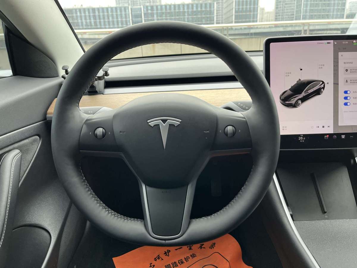 特斯拉 Model 3  2019款 標(biāo)準(zhǔn)續(xù)航后驅(qū)升級(jí)版圖片