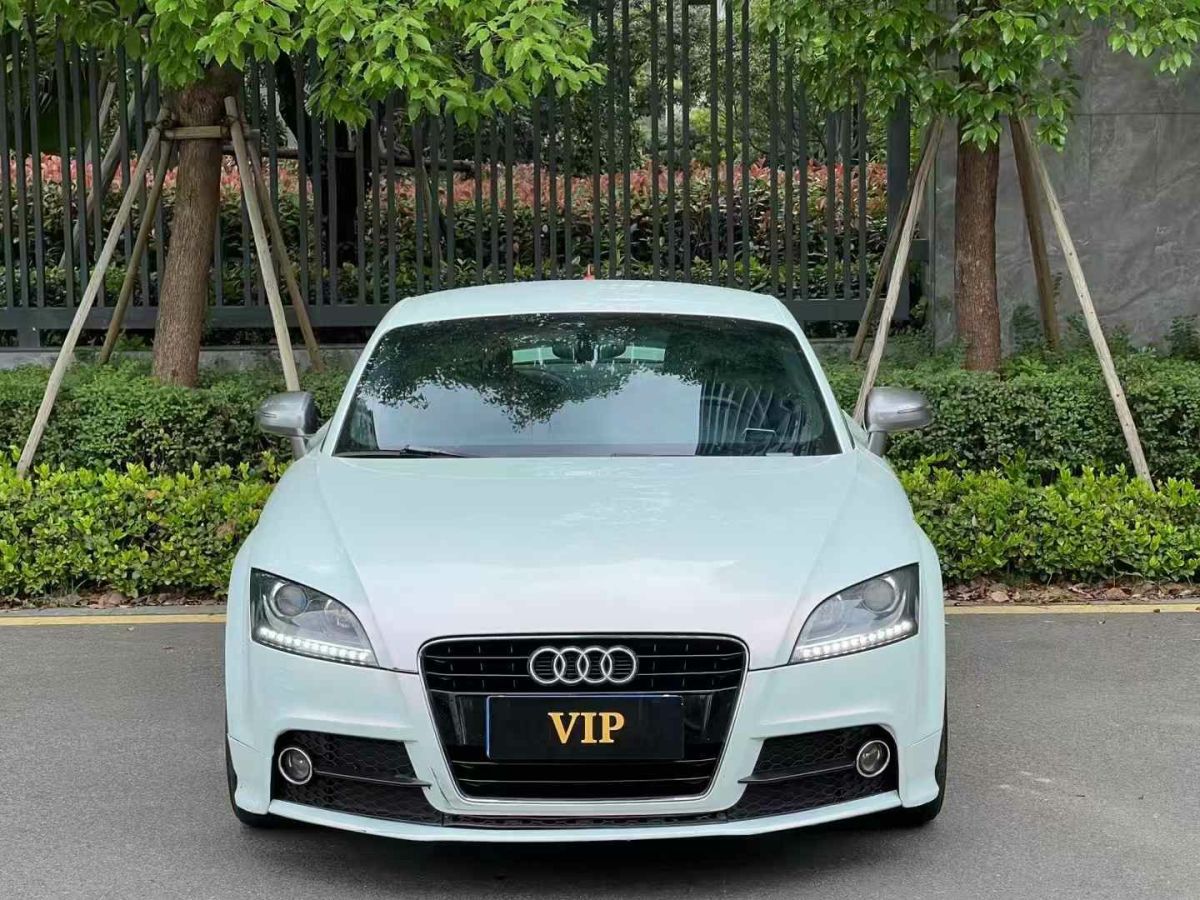 奧迪 奧迪TT  2013款 TT Roadster 45 TFSI圖片