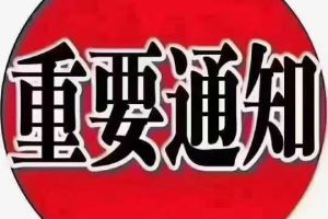 星越 吉利 350T 馭星者