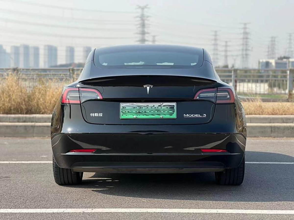 特斯拉 Model 3  2022款 Performance高性能全輪驅(qū)動版圖片