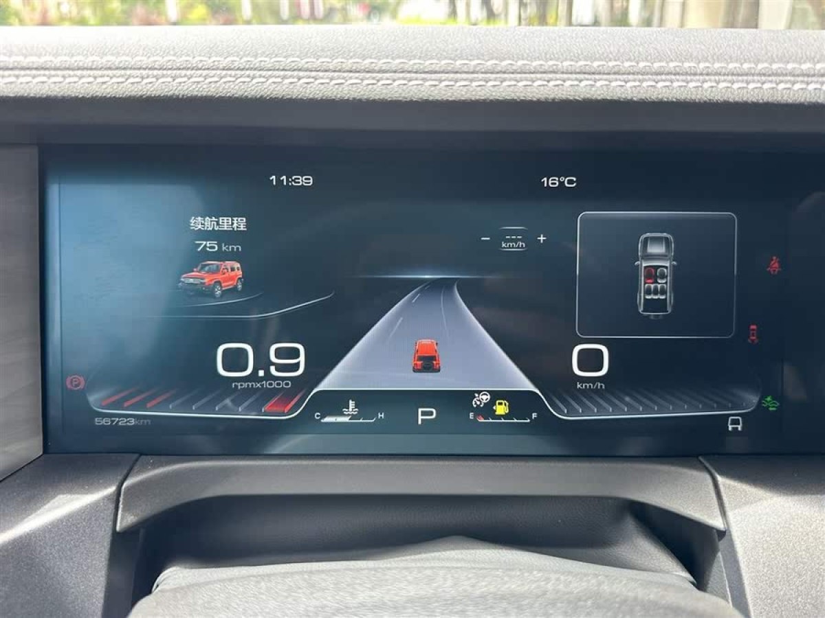 坦克 坦克300  2021款 城市版 2.0T 很有型圖片