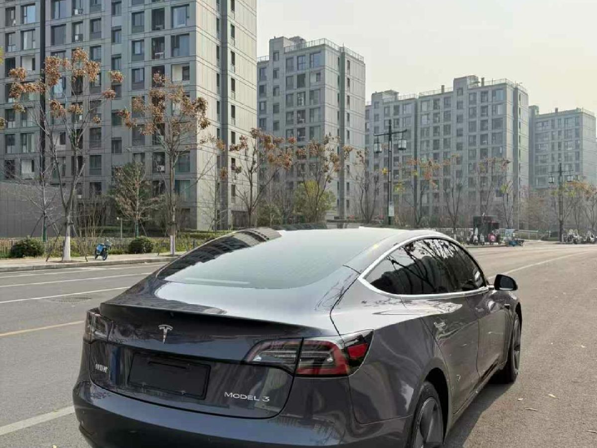 特斯拉 Model X  2020款 Performance 高性能版圖片