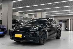 Model Y 特斯拉 標(biāo)準(zhǔn)續(xù)航后驅(qū)版