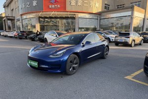 Model 3 特斯拉 标准续航后驱升级版