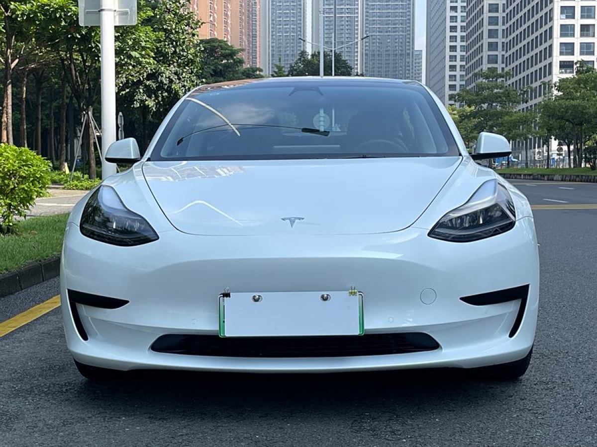 2022年1月特斯拉 Model Y  2021款 標(biāo)準(zhǔn)續(xù)航后驅(qū)升級版 3D6