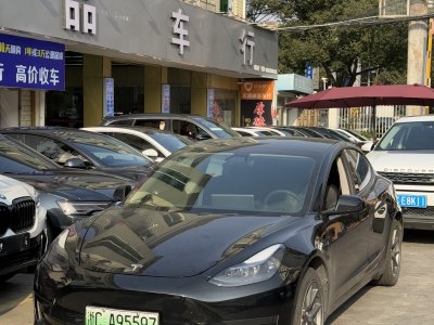 2021年3月 特斯拉 Model 3 標(biāo)準(zhǔn)續(xù)航后驅(qū)升級版 3D6圖片