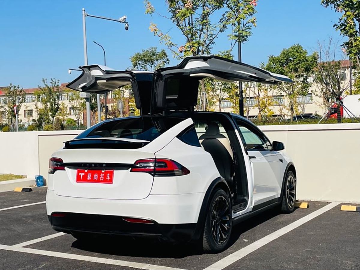 特斯拉 Model X  2019款 長續(xù)航版圖片