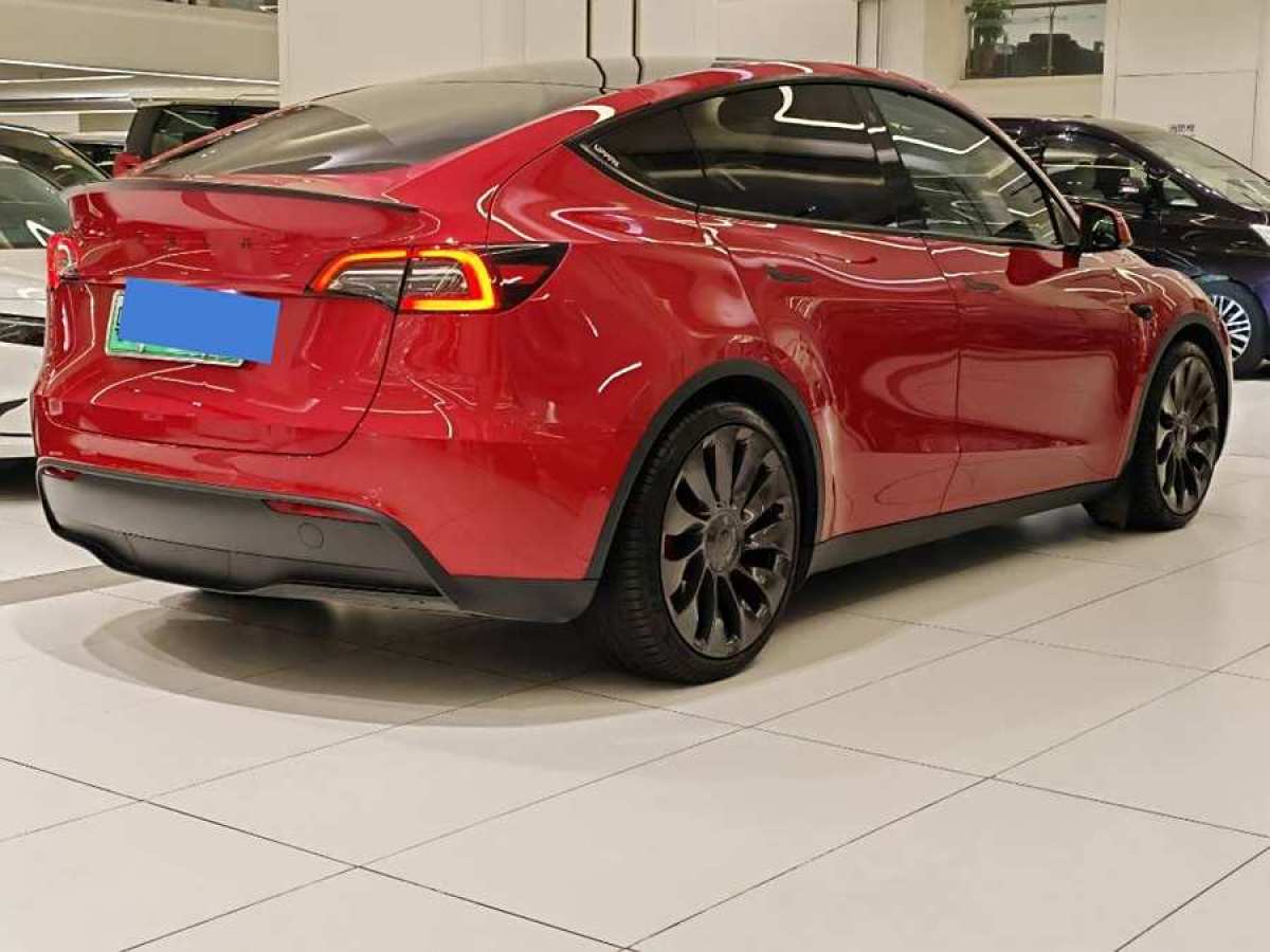 特斯拉 Model Y  2022款 Performance高性能全輪驅(qū)動(dòng)版圖片