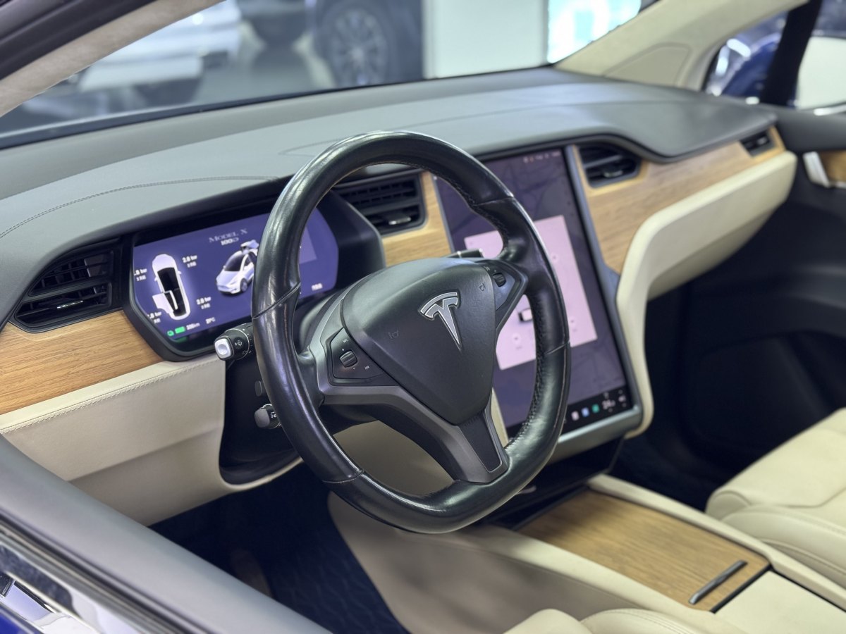 特斯拉 Model X  2017款 Model X 100D 長續(xù)航版圖片