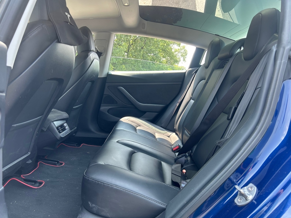 特斯拉 Model 3  2020款 標(biāo)準(zhǔn)續(xù)航后驅(qū)升級(jí)版圖片