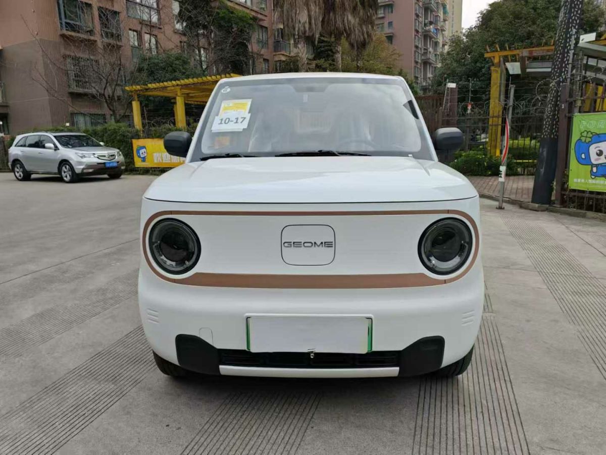 吉利 熊貓mini  2024款 200km 熊貓騎士圖片