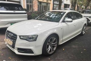 奥迪S5 奥迪 S5 3.0T Cabriolet