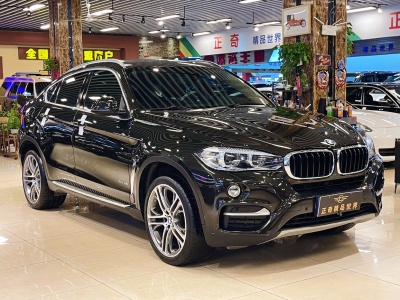 2015年10月 宝马 宝马X6(进口) xDrive35i 领先型图片