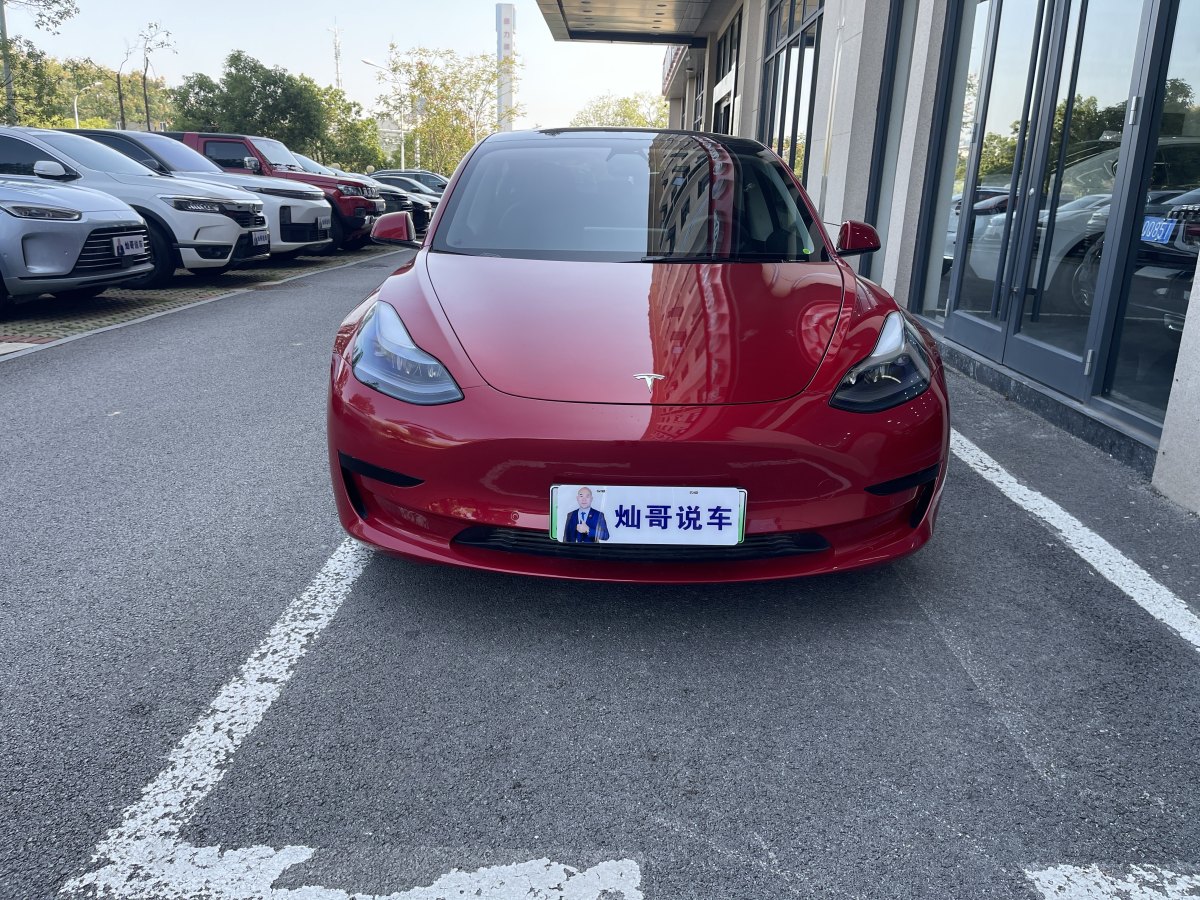 特斯拉 Model Y  2021款 標(biāo)準(zhǔn)續(xù)航后驅(qū)升級版 3D6圖片