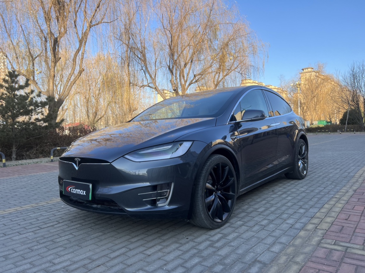 特斯拉 Model X  2019款 標準續(xù)航版圖片